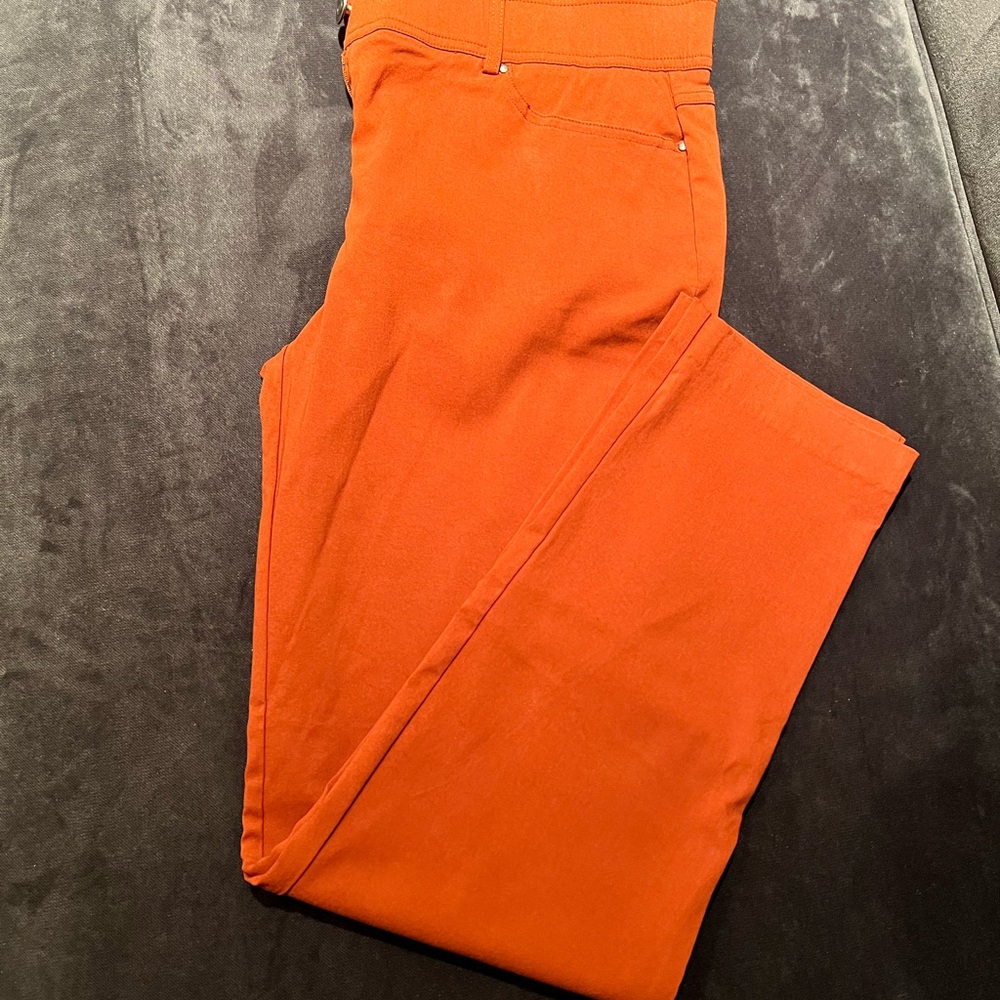89th + Madison Brown Comfort Waist Rust Colored Pants Gently Used